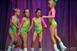 dsc_0493: Foto: V Tylově divadle se prezentovala děvčata z Fit studia Jitky Brachovcové