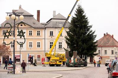 Foto: Kutnohorské náměstí ozdobí vánoční smrk z Vysočiny!