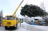 5G6H9956: Foto: Kutnohorské náměstí ozdobí vánoční smrk z Vysočiny!