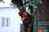 5G6H9968: Foto: Kutnohorské náměstí ozdobí vánoční smrk z Vysočiny!