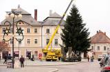 7G6H0019: Foto: Kutnohorské náměstí ozdobí vánoční smrk z Vysočiny!