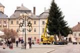 7G6H0020: Foto: Kutnohorské náměstí ozdobí vánoční smrk z Vysočiny!