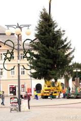 7G6H0021: Foto: Kutnohorské náměstí ozdobí vánoční smrk z Vysočiny!