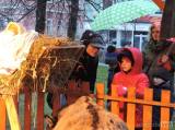 21: Foto, video: V Čáslavi se od neděle těší z rozsvícené adventní výzdoby