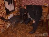 herny14: Čáslavští policisté kontrolovali herny a pohostinství