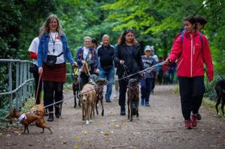 V Kutné Hory se šel pochod „Great Global Greyhound Walk 2022“