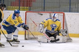 Foto: V pátečním zápase AKHL hokejisté HC Vosy porazili HC Predátoři 19:5!