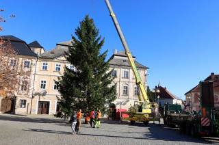 Foto, video: Stejně jako vloni pochází vánoční strom pro Kutnou Horu z ČKD