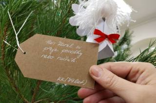Také letos Charita připravuje Vánoční strom splněných přání