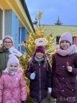 20231203221125_msbenesova116: V Mateřské školce Benešova II zazářil vánoční strom!