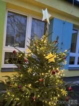 20231203221127_msbenesova118: V Mateřské školce Benešova II zazářil vánoční strom!