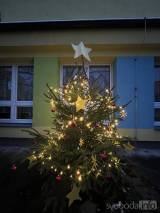 20231203221128_msbenesova119: V Mateřské školce Benešova II zazářil vánoční strom!