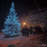 20231204110649_IMG_20231201_174410: Foto: Vánoční strom o víkendu ozářil také Brambory!
