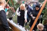 20231213202804_IMG_4019: Foto: Na vánočním jarmarku v kutnohorské Pohádce tradičně dražili sladkého kapra!