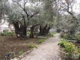 20240327215141_jeruz122: Getsemanská zahrada - Hrob Panny Marie v Jeruzalémě objektivem čáslavského cestovatele