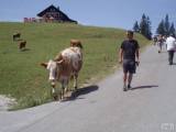 P1013284: TIP: Už jste přemýšleli o letní dovolené? Co takhle Rakousko ...