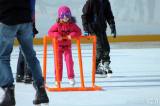 IMG_5423: Foto: Karneval na ledě se v Čáslavi těšil velkému zájmu veřejnosti