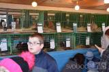 DSC_0819: Chovatelé z Hostovlic připravili XXVI. zimní oblastní výstavu králíků a holubů
