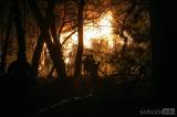 20160227_x-2552: Foto: Požár u kolínské Spálenky zaměstnal hasiče, policii i záchranku