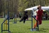 V agility závodě „O kutnohorský groš“ si to rozdají na kutnohorském cvičáku