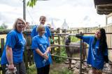 dobrovolnici_pfizer: Dobrovolníci pomohli Nadačnímu fondu Klíček s přípravou hospice na letní tábor