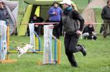 20160410_IMG_0028: Foto: Závody v agility na kutnohorském cvičáku otestovaly spolupráci psovoda se psem