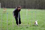 20160410_IMG_0031: Foto: Závody v agility na kutnohorském cvičáku otestovaly spolupráci psovoda se psem