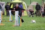 20160410_IMG_0037: Foto: Závody v agility na kutnohorském cvičáku otestovaly spolupráci psovoda se psem