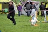 20160410_IMG_0039: Foto: Závody v agility na kutnohorském cvičáku otestovaly spolupráci psovoda se psem
