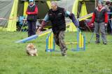 20160410_IMG_0063: Foto: Závody v agility na kutnohorském cvičáku otestovaly spolupráci psovoda se psem