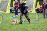 20160410_IMG_0064: Foto: Závody v agility na kutnohorském cvičáku otestovaly spolupráci psovoda se psem