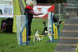 20160410_IMG_9922: Foto: Závody v agility na kutnohorském cvičáku otestovaly spolupráci psovoda se psem