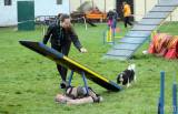 20160410_IMG_9952: Foto: Závody v agility na kutnohorském cvičáku otestovaly spolupráci psovoda se psem