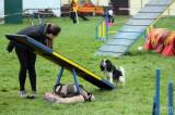 20160410_IMG_9954: Foto: Závody v agility na kutnohorském cvičáku otestovaly spolupráci psovoda se psem