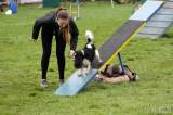 20160410_IMG_9957: Foto: Závody v agility na kutnohorském cvičáku otestovaly spolupráci psovoda se psem