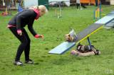 20160410_IMG_9966: Foto: Závody v agility na kutnohorském cvičáku otestovaly spolupráci psovoda se psem
