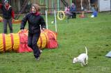 20160410_IMG_9974: Foto: Závody v agility na kutnohorském cvičáku otestovaly spolupráci psovoda se psem