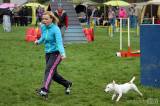 20160410_IMG_9984: Foto: Závody v agility na kutnohorském cvičáku otestovaly spolupráci psovoda se psem