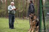 20160417_x-8331: Na kolínském psím cvičáku skládali mezinárodní zkoušky