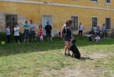 20160526_039: Foto: Ukázky výcviku psů v Nových Dvorech sklidily potlesk diváků