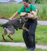 20160526_087: Foto: Ukázky výcviku psů v Nových Dvorech sklidily potlesk diváků