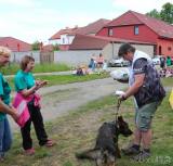 20160526_102: Foto: Ukázky výcviku psů v Nových Dvorech sklidily potlesk diváků