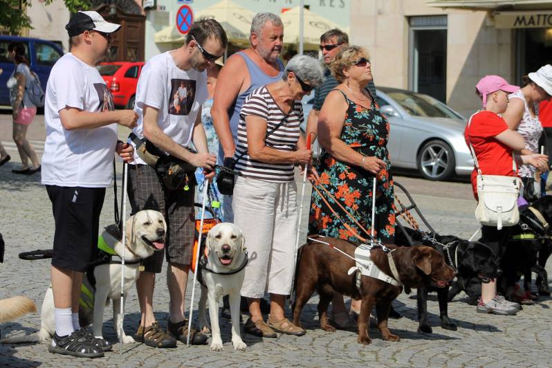 Foto: Palackého náměstí v Kutné Hoře hostilo závody ve výkonu vodích psů