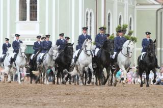 Hřebčín v Kladrubech na sobotní akci přiblíží chov starokladrubských koní široké veřejnosti