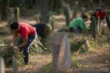 20160923175147_x-0115: Foto: Válku s břečťanem svedli dobrovolníci na starém židovském hřbitově již podruhé