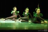 20161105000753_5G6H0915: Diváci v Dusíkově divadle tleskali celovečernímu baletu „Stvoření světa“