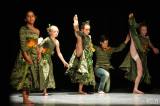 20161105000757_5G6H1064: Diváci v Dusíkově divadle tleskali celovečernímu baletu „Stvoření světa“