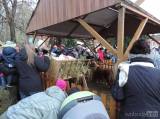 20161128072353_DSCN9583: Foto, video: Vánoční výzdobu i strom v Čáslavi rozsvítili v neděli