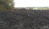 5: U menhirů hořela tráva, zasahovali profesionální i dobrovolní hasiči