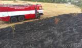 7: U menhirů hořela tráva, zasahovali profesionální i dobrovolní hasiči